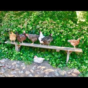 Meet your Posher, Maria